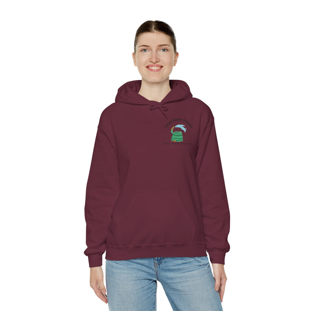 Gen X Raised on Hose Water Hoodie | Retro Childhood Nostalgia
